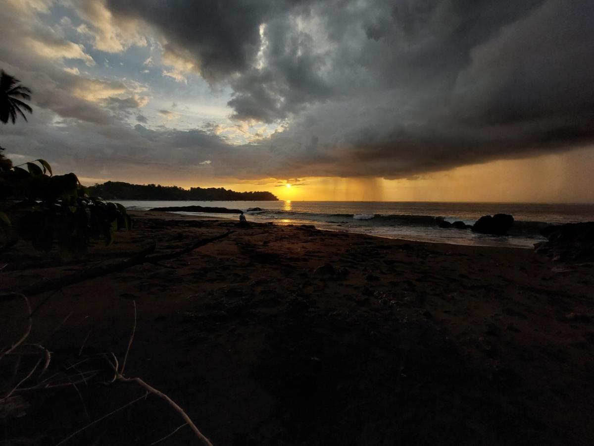 Pez Espada Tours Y Cabinas Drake Bay Exterior photo
